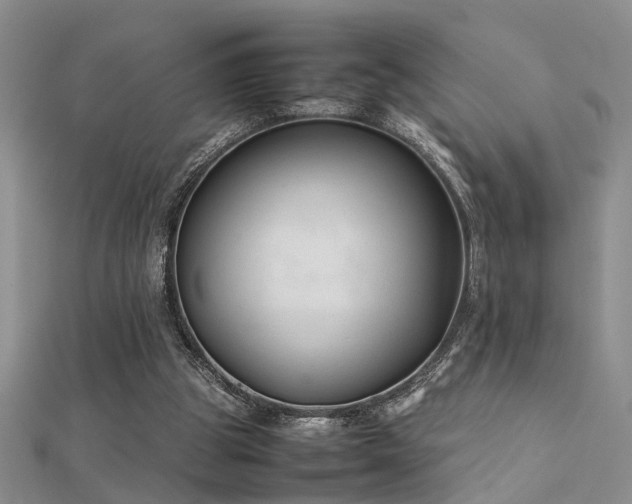 X0000112400153200908141347
