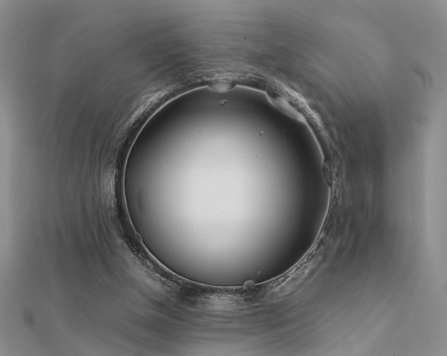 X0000112400154200908141347