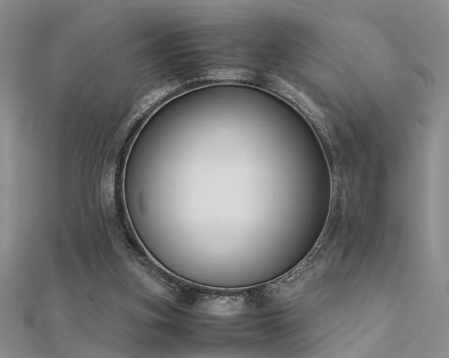 X0000112400155200908141347