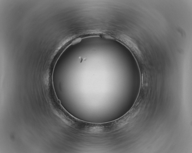 X0000112400156200908141347