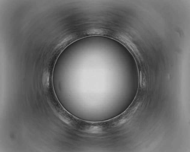X0000112400157200908141347
