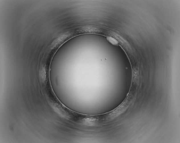 X0000112400158200908141347