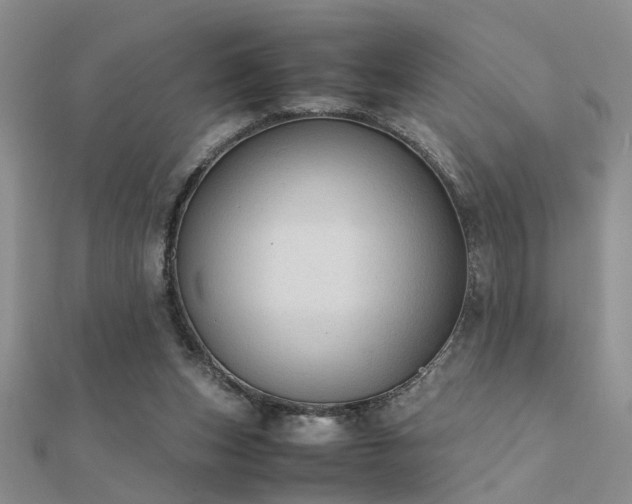 X0000112400159200908141347
