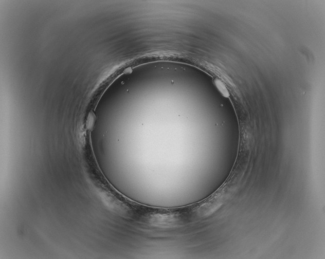 X0000112400160200908141347