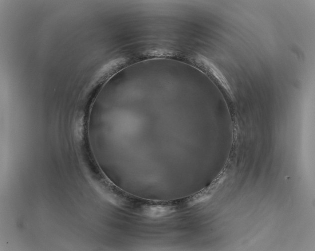 X0000112400163200908141347