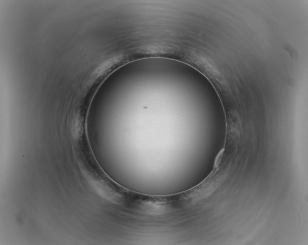 X0000112400164200908141347