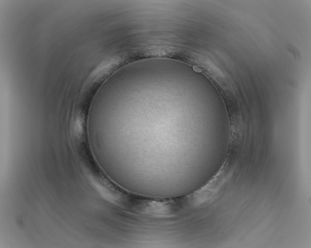 X0000112400166200908141347