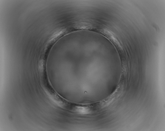 X0000112400167200908141347
