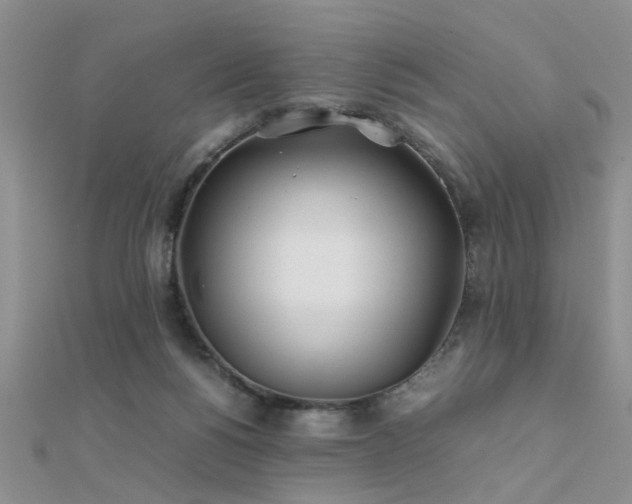 X0000112400168200908141347