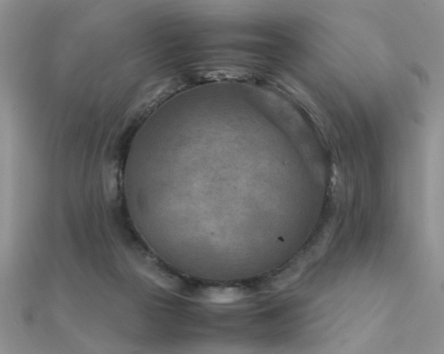 X0000112400169200908141347