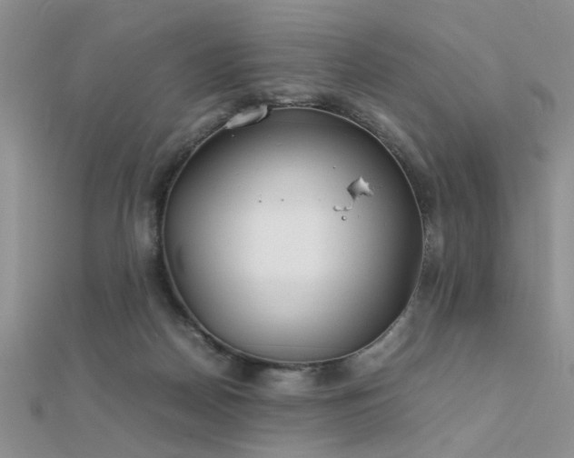 X0000112400170200908141347
