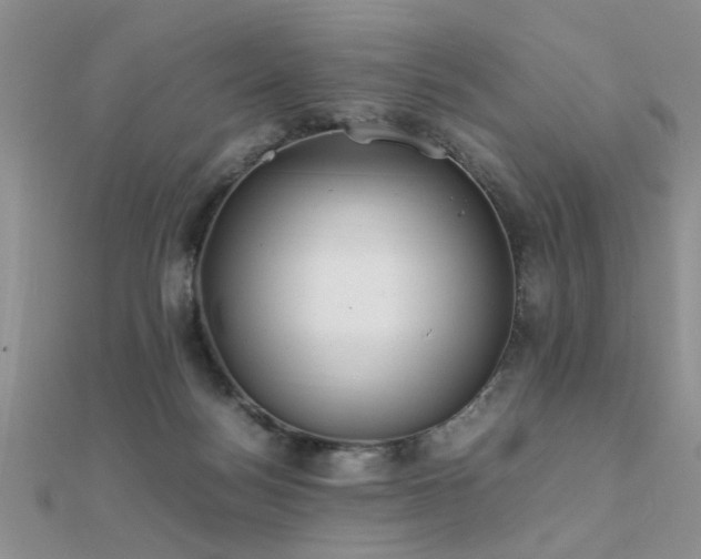 X0000112400172200908141347