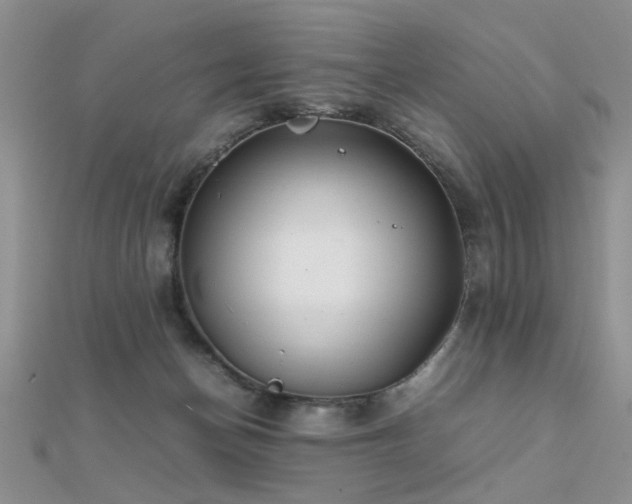X0000112400174200908141347