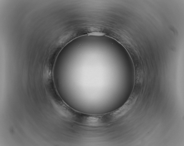 X0000112400176200908141347