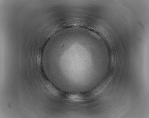 X0000112400177200908141347