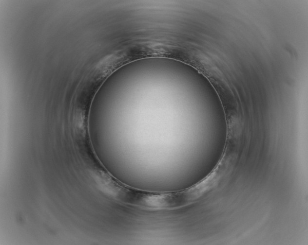X0000112400178200908141347