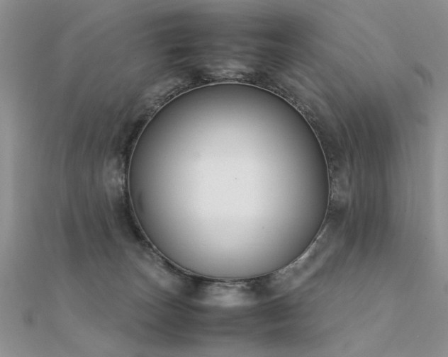 X0000112400179200908141347