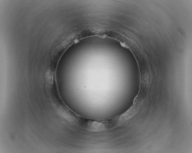 X0000112400180200908141347