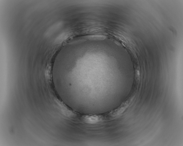 X0000112400181200908141347