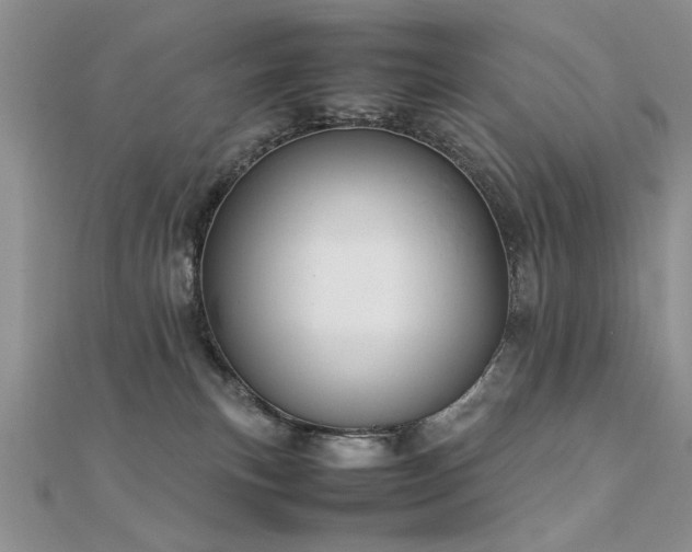 X0000112400183200908141347