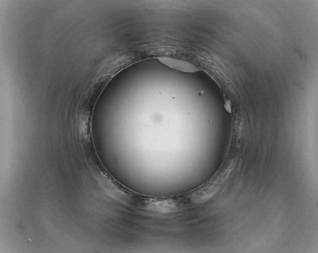 X0000112400185200908141347