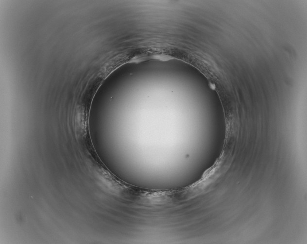 X0000112400186200908141347