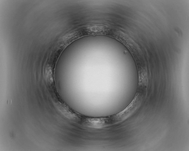 X0000112400187200908141347