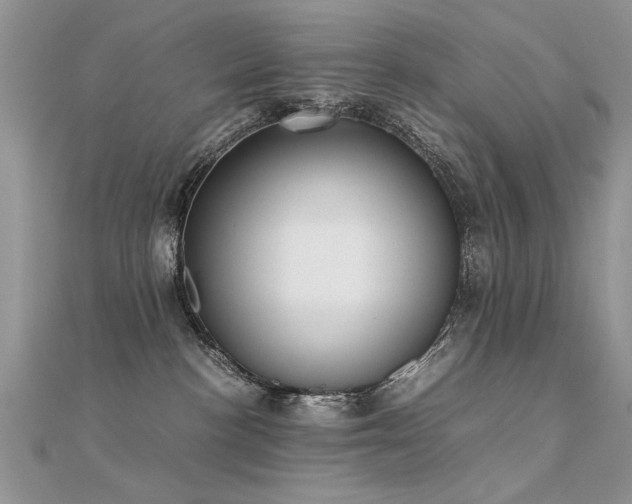 X0000112400188200908141347