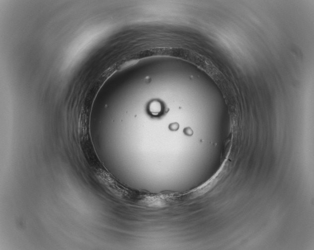 X0000112400190200908141347