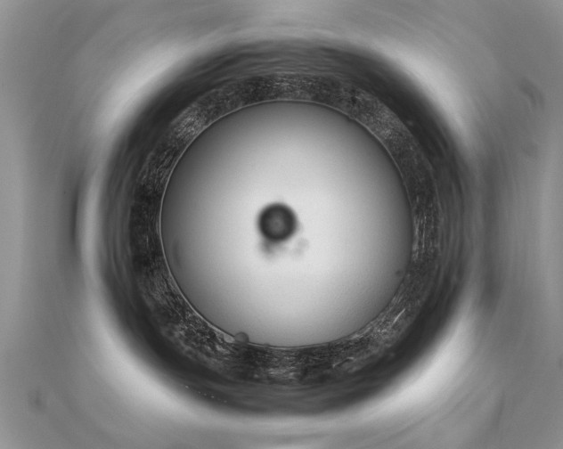 X0000112400191200908141347