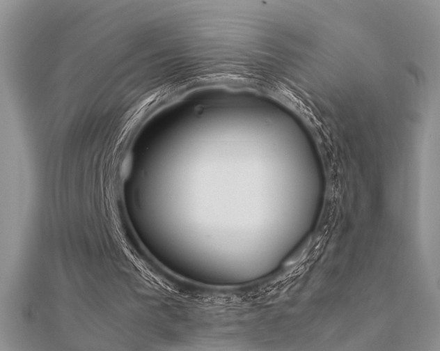 X0000112400193200908141347