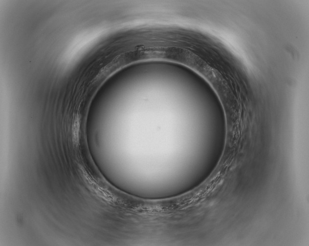 X0000112400194200908141346