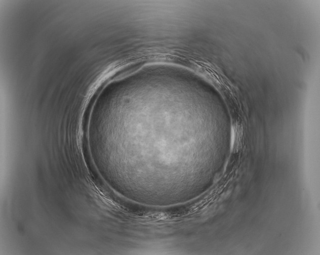 X0000112400195200908141346