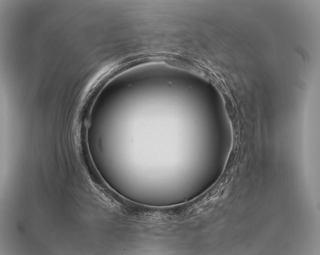 X0000112400197200908141346