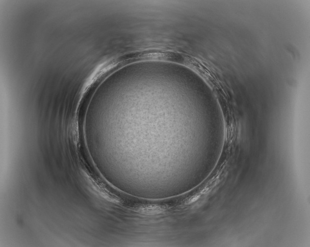 X0000112400198200908141346