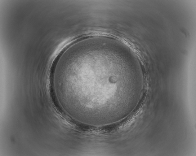 X0000112400199200908141346