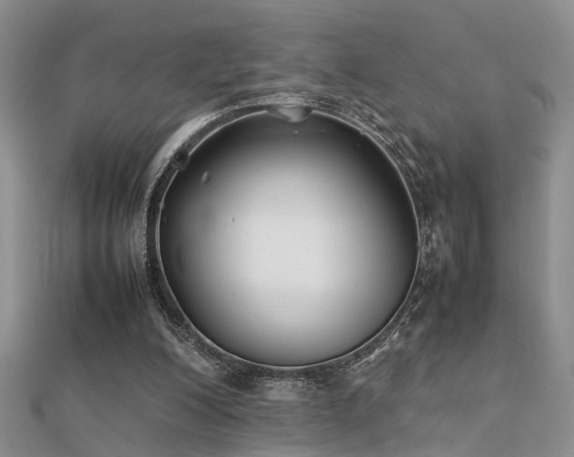 X0000112400200200908141346