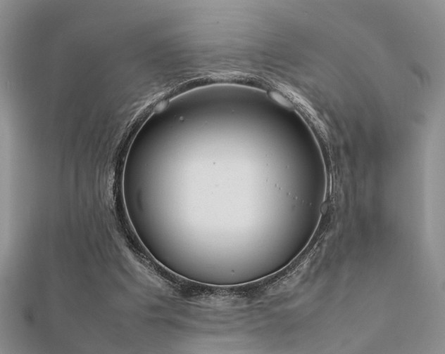 X0000112400201200908141346