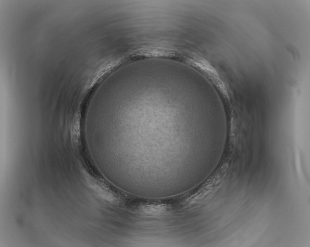 X0000112400202200908141346