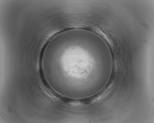 X0000112400203200908141346