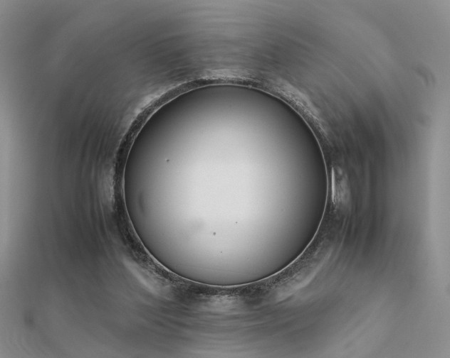 X0000112400204200908141346