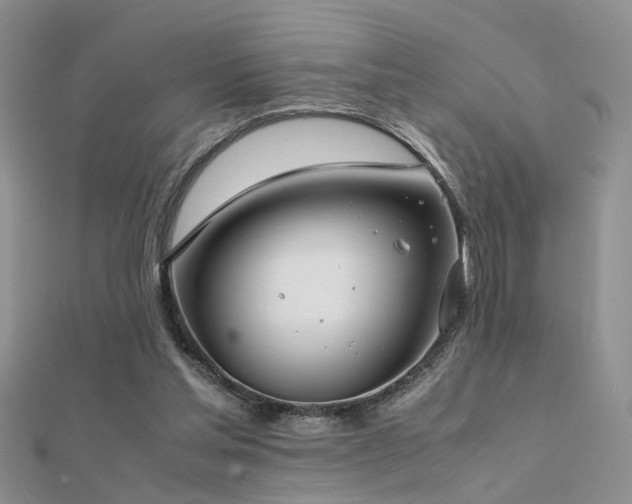 X0000112400205200908141346