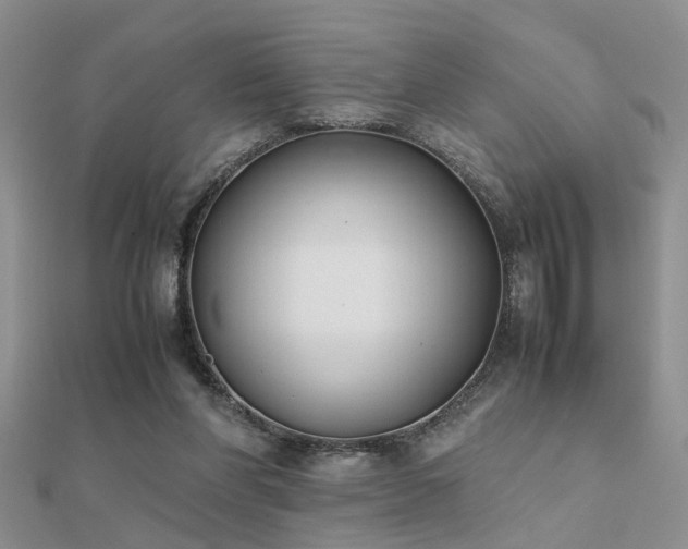 X0000112400206200908141346