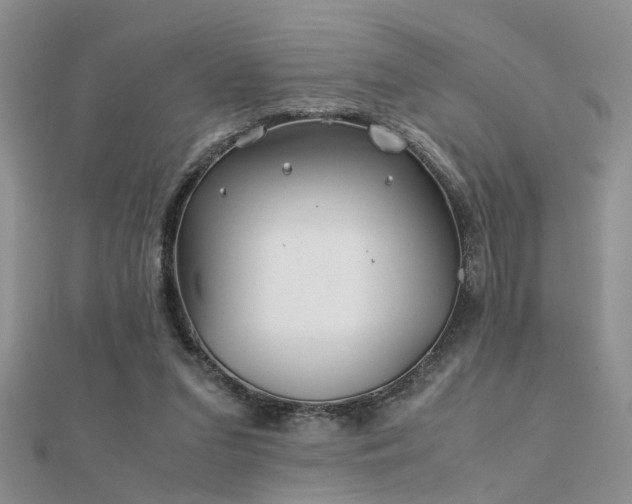 X0000112400207200908141346