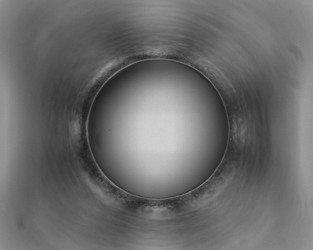 X0000112400208200908141346