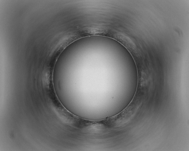 X0000112400210200908141346