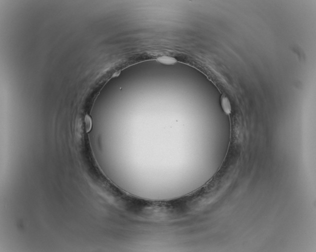 X0000112400211200908141346