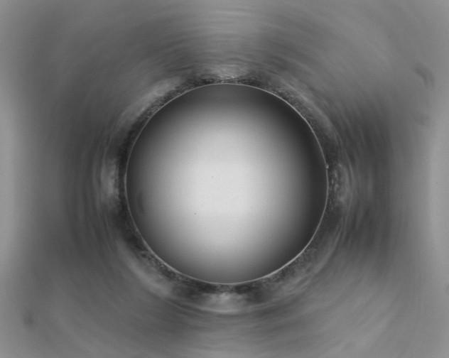 X0000112400212200908141346