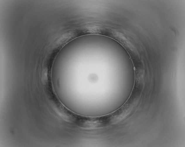 X0000112400213200908141346
