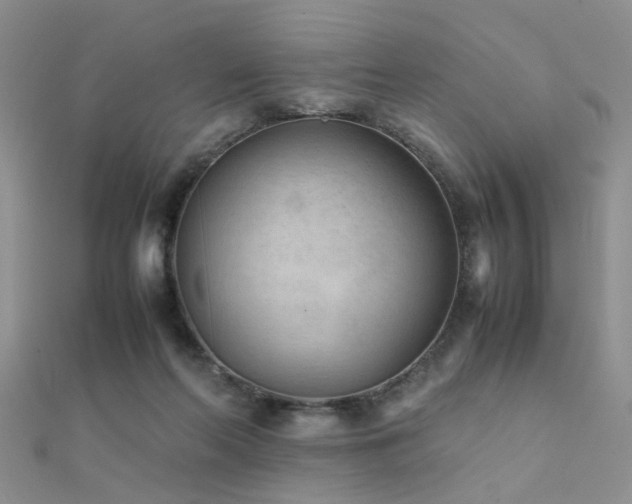 X0000112400214200908141346